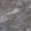 Обои Andrea Rossi 84182-7 Spazio